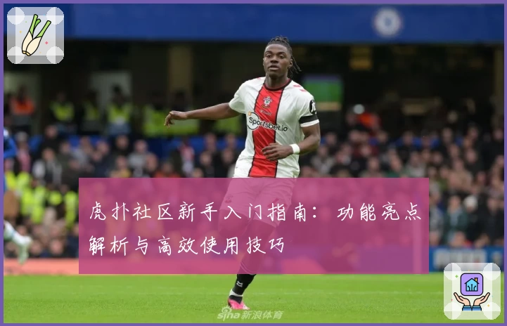 虎扑社区新手入门指南：功能亮点解析与高效使用技巧