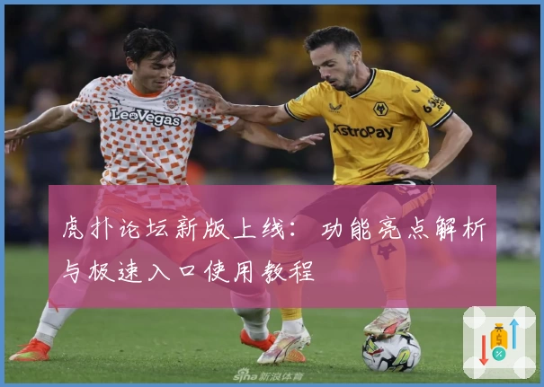 虎扑论坛新版上线：功能亮点解析与极速入口使用教程